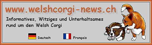 www.welshcorgi-news.ch