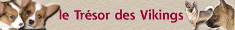 Tr&eacute;sor des Vikings