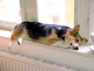 Siesta.jpg